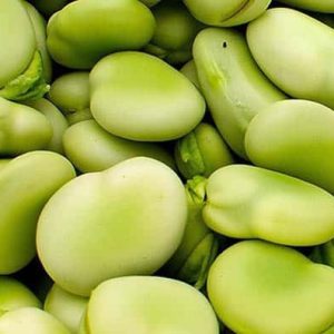 Habas Blanca Super Aguadulce Importada 1 Kilo