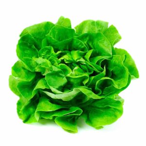 Lechuga América Española de Verano 100 Grs